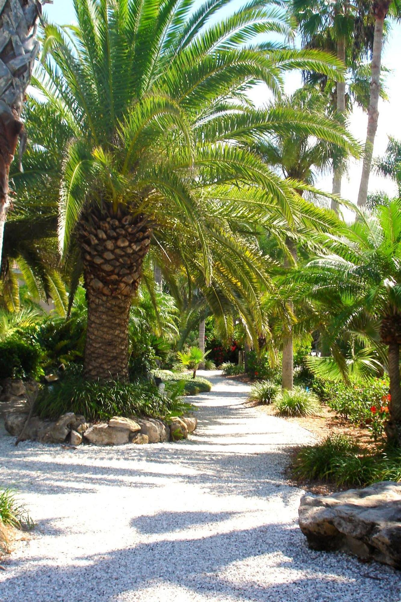Tropical Beach Resorts - Sarasota Siesta Key Ngoại thất bức ảnh