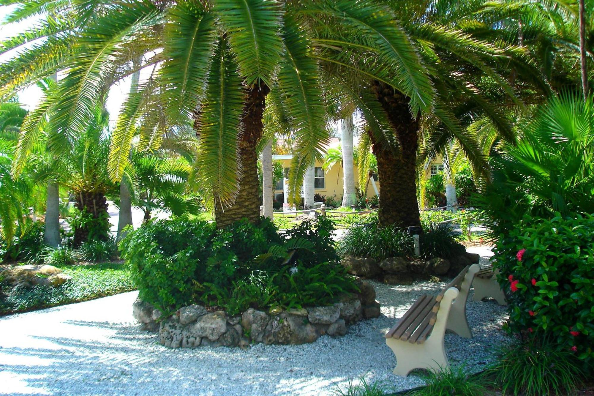 Tropical Beach Resorts - Sarasota Siesta Key Ngoại thất bức ảnh