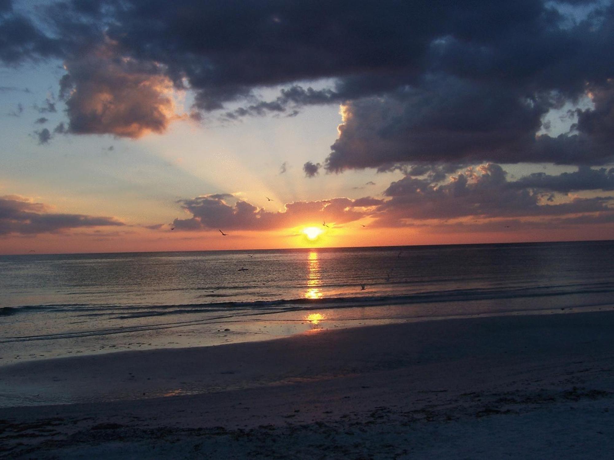 Tropical Beach Resorts - Sarasota Siesta Key Ngoại thất bức ảnh